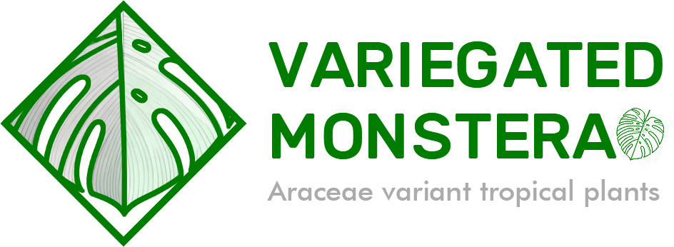 Araceae variant tropical plants